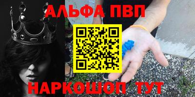 spice Кингисепп