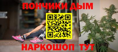 spice Кингисепп