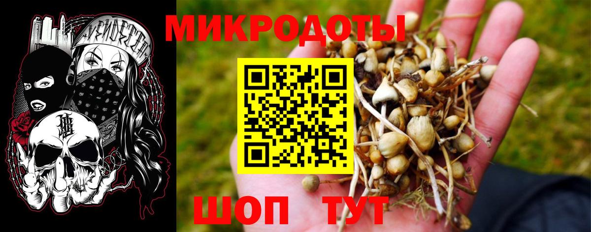 Галлюциногенные грибы MAGIC MUSHROOMS  Галлюциногенные грибы мицелий  Красногорск  где продают   Вход с VPN 